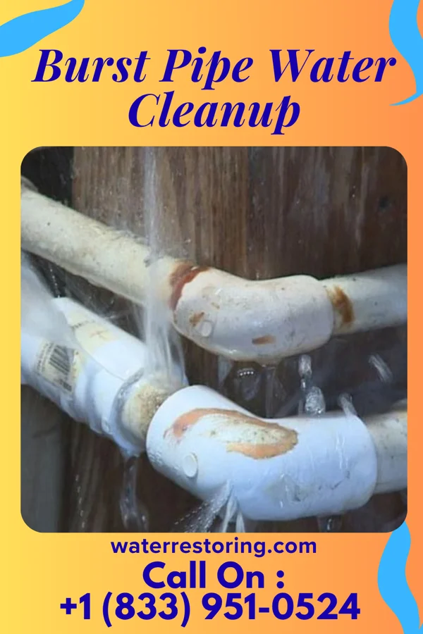 Burst Pipe Water Cleanup in Utica, SD
