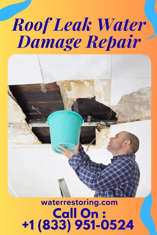 Roof Leak Water Damage Repair in Utica, SD