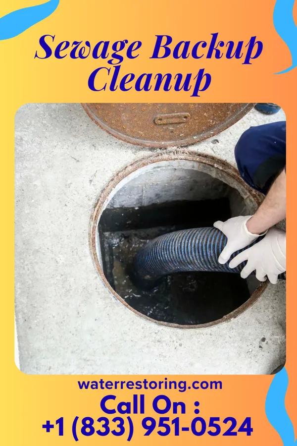 Sewage Backup Cleanup in Utica, SD